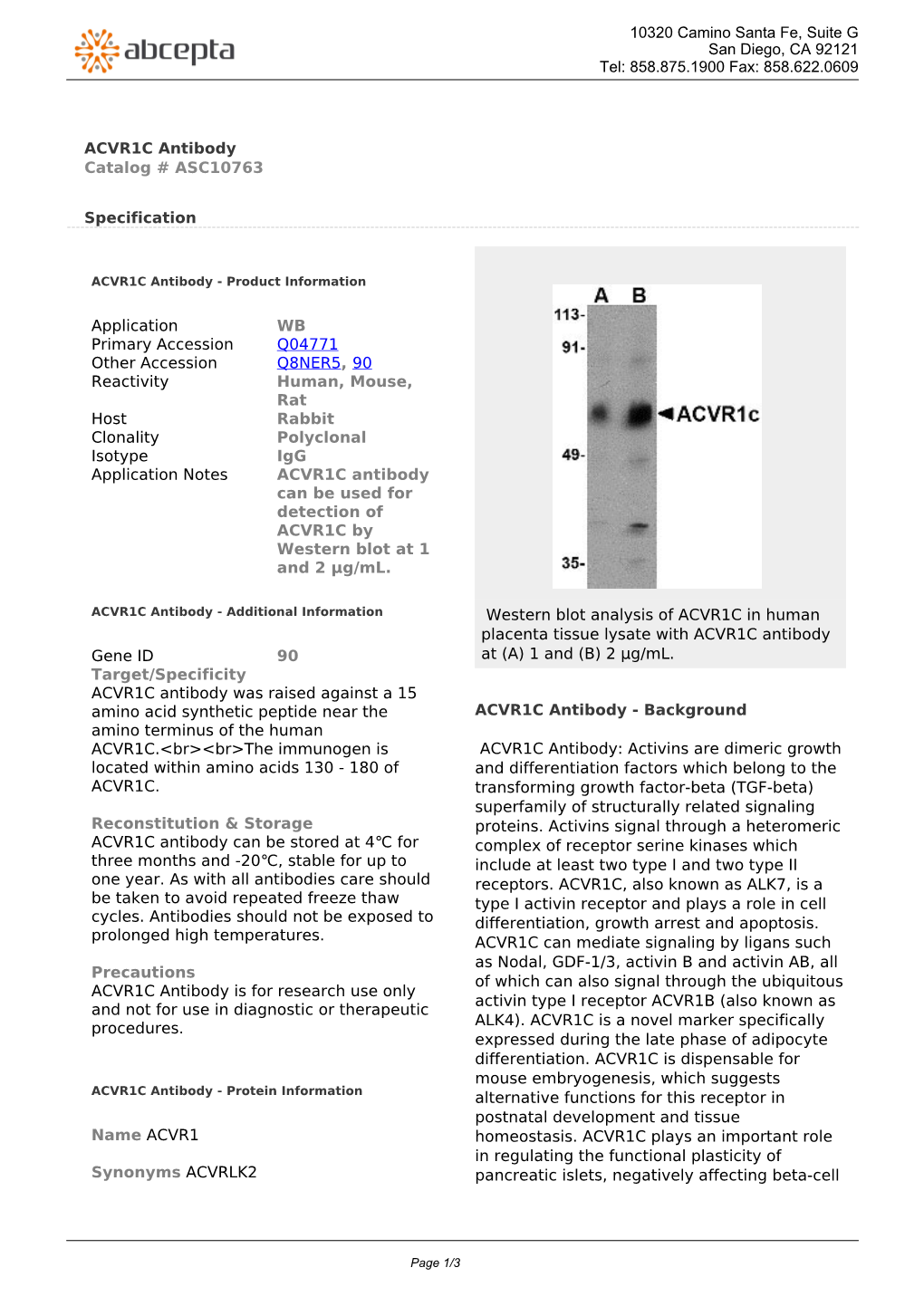 ACVR1C Antibody Catalog # ASC10763