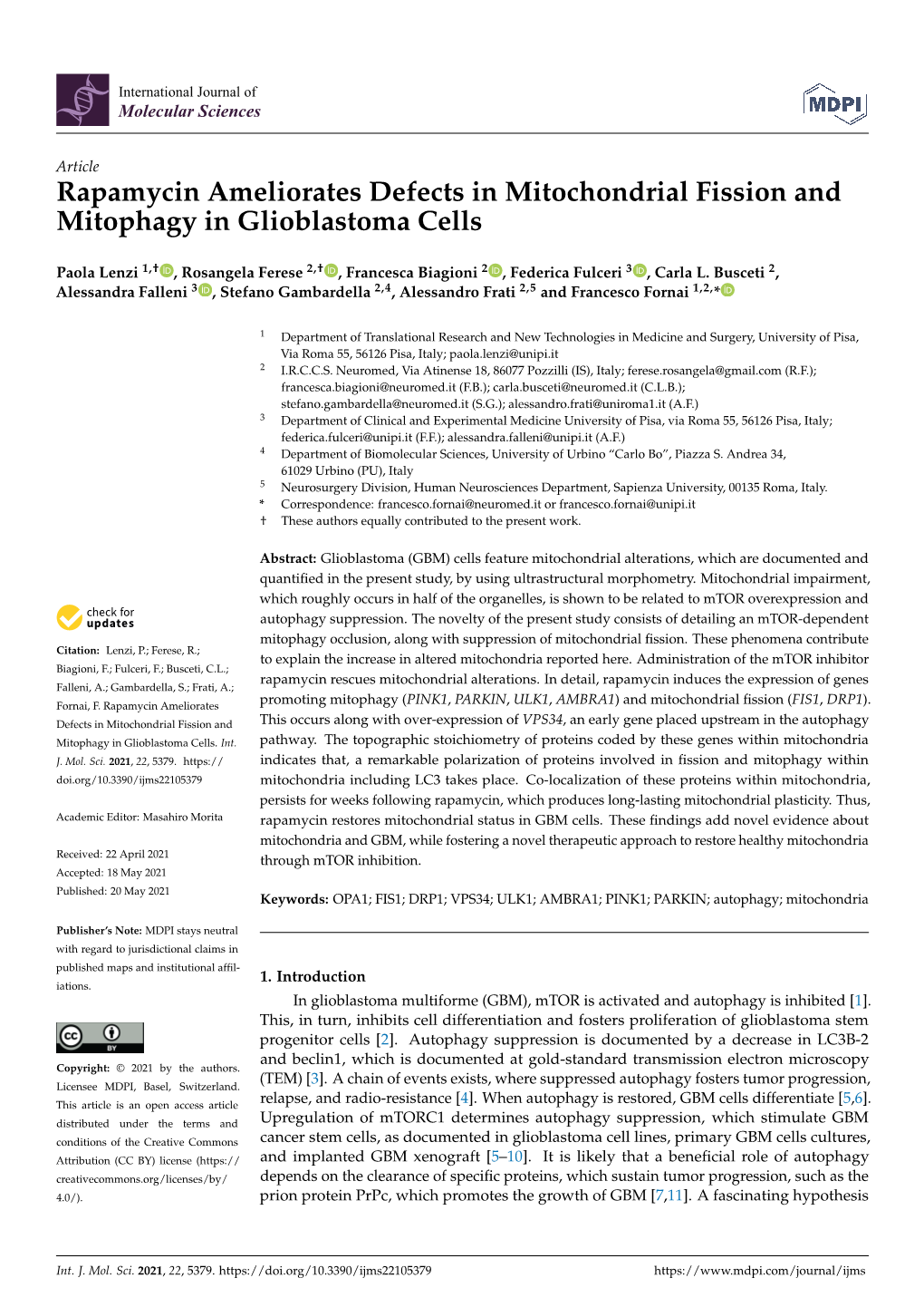 Rapamycin Ameliorates Defects in Mitochondrial Fission and Mitophagy in Glioblastoma Cells