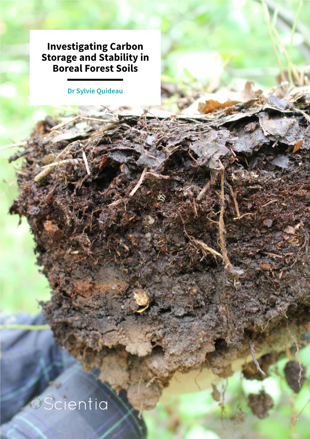 Investigating Carbon Storage and Stability in Boreal Forest Soils