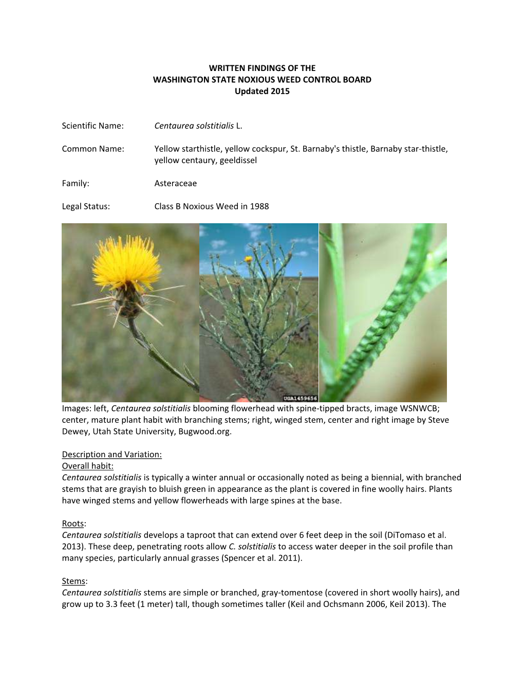 Yellow-Starthistle-WF-Update.Pdf