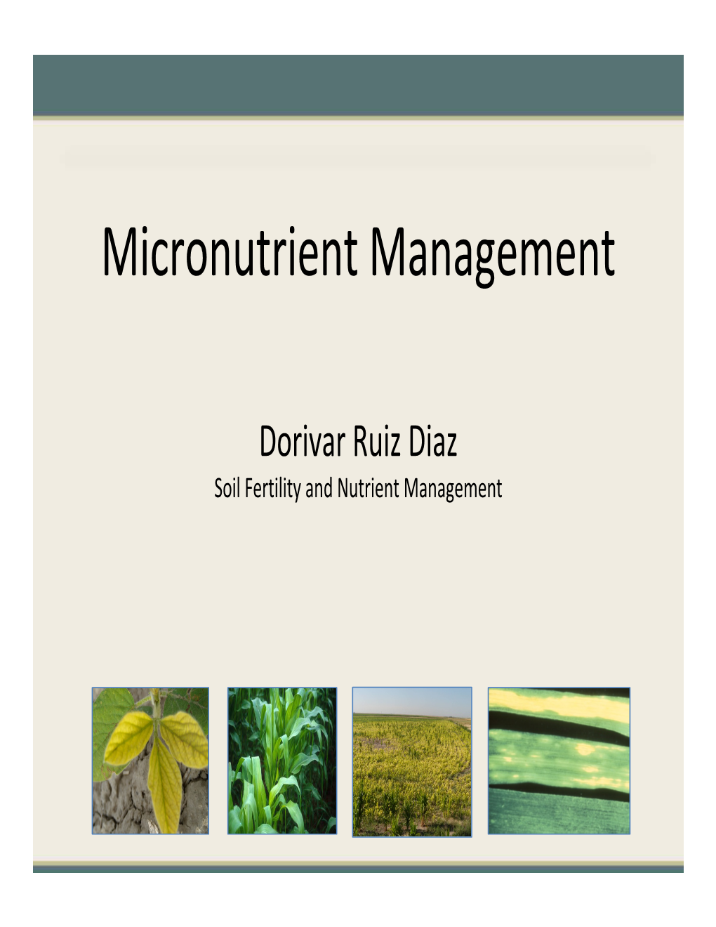 Micronutrient Management