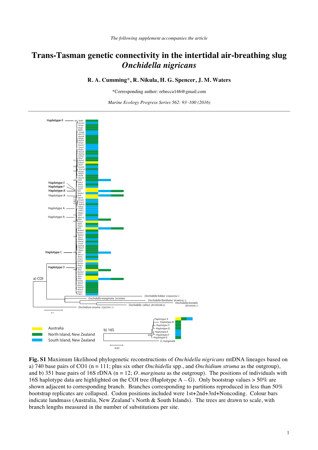 Trans-Tasman Genetic Connectivity in the Intertidal Air-Breathing Slug Onchidella Nigricans