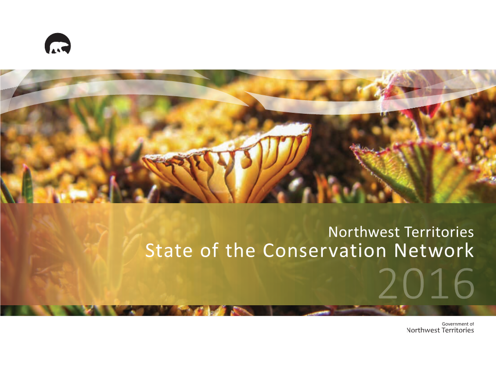 State of the Conservation Network Report 2016