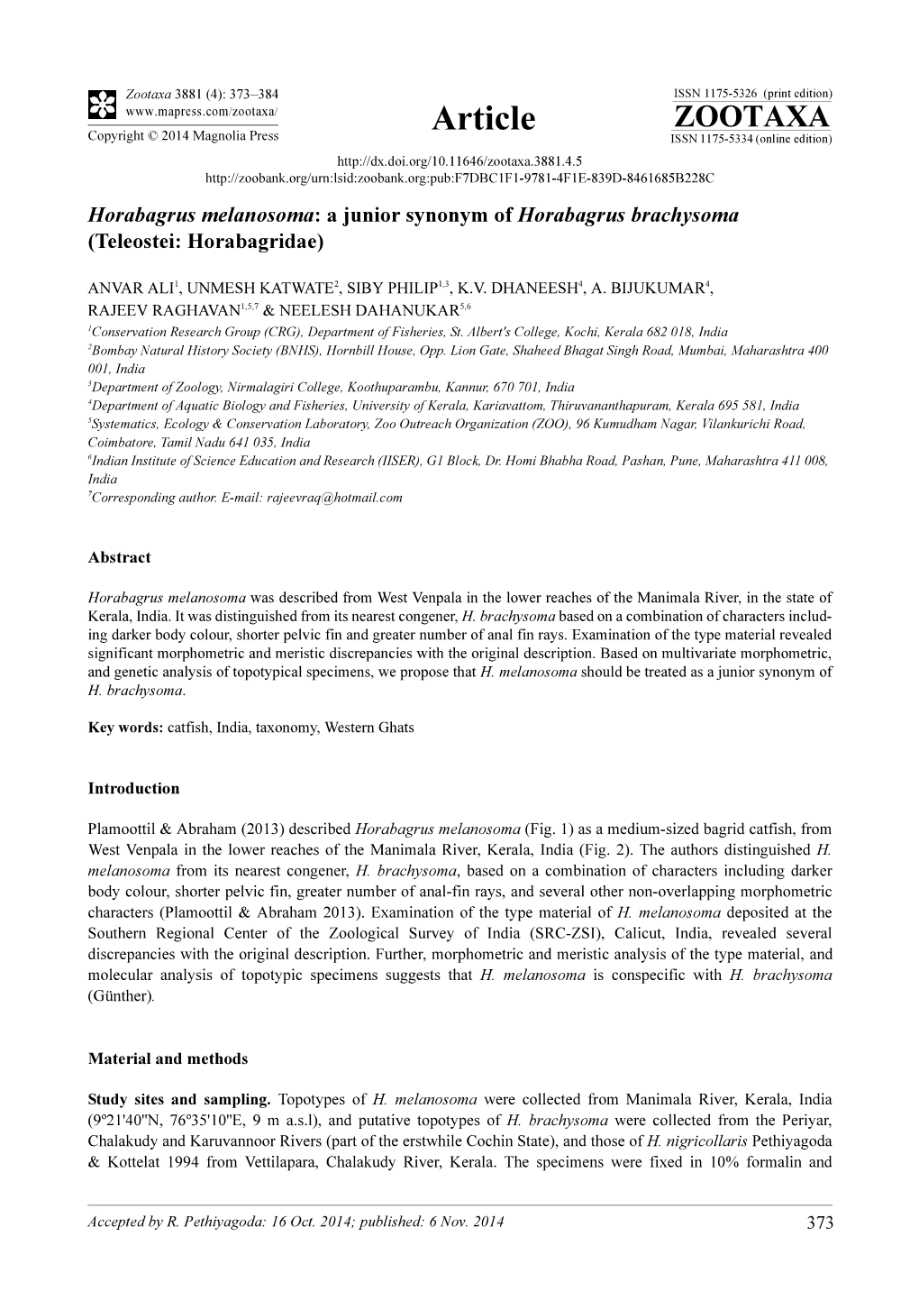 Horabagrus Melanosoma: a Junior Synonym of Horabagrus Brachysoma (Teleostei: Horabagridae)