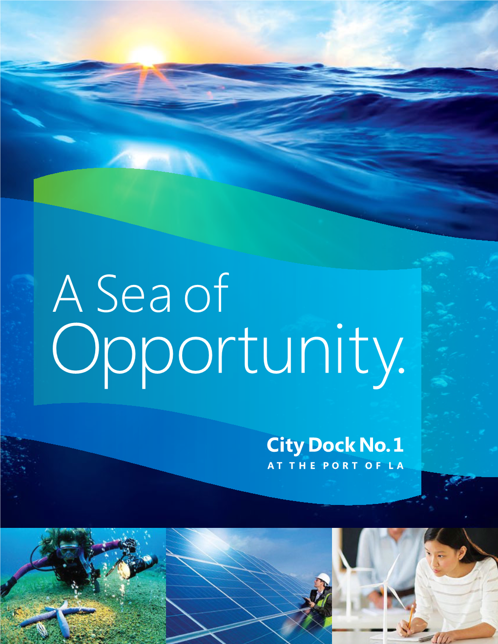 City Dock No. 1 Brochure