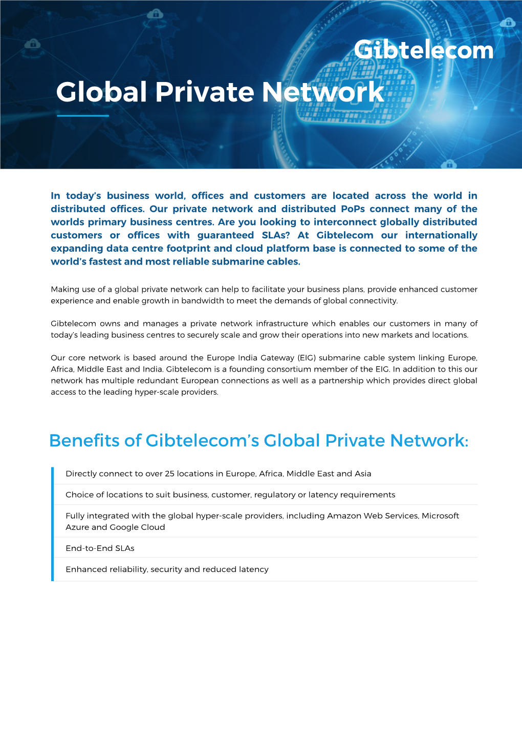 Global Private Network