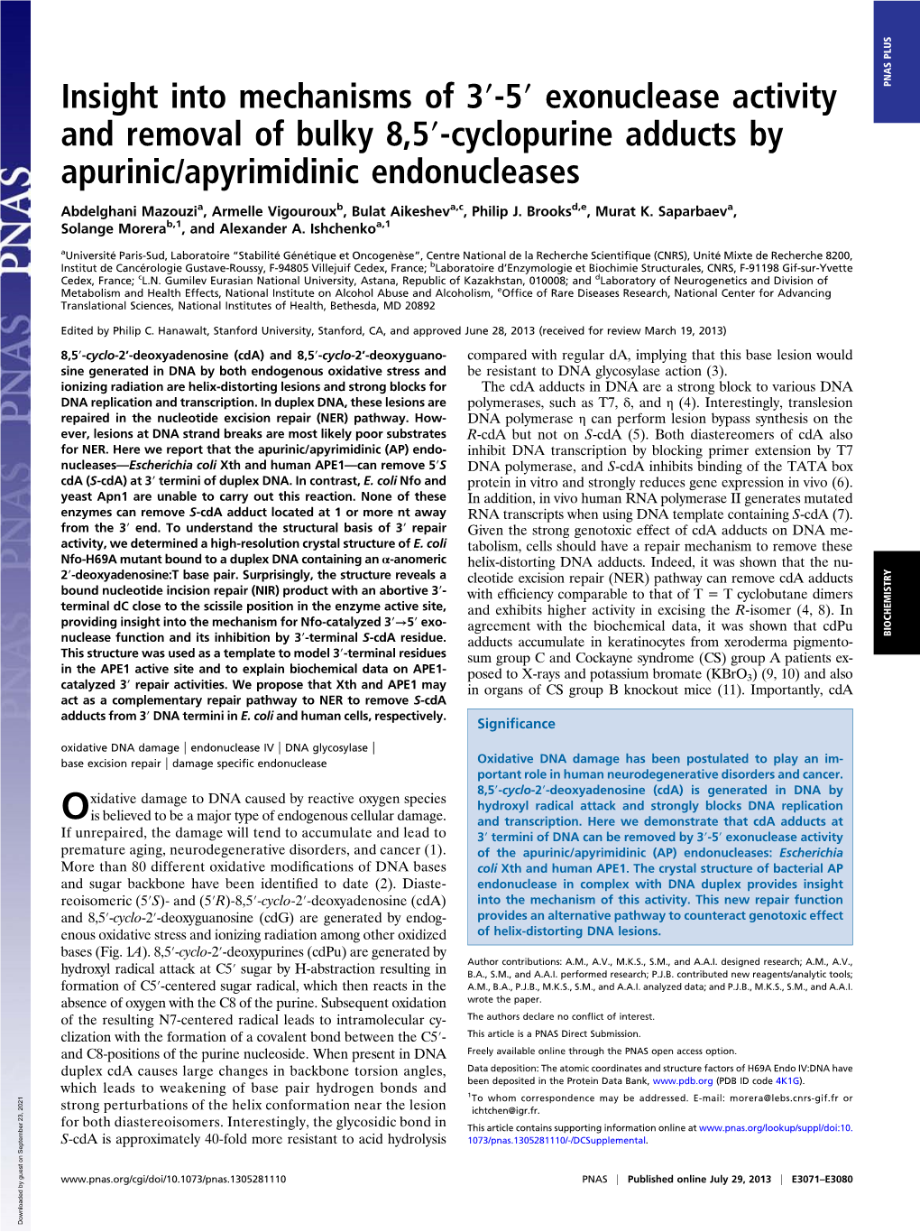 Exonuclease Activity and Removal of Bulky