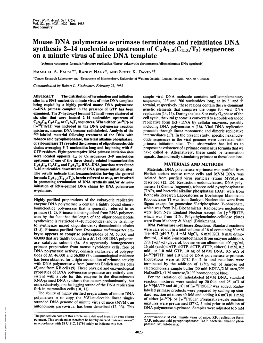 Synthesis 2-14 Nucleotides Upstream of C2A12(C2-3/T2)