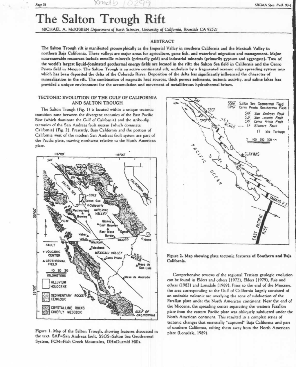 The Salton Trough Rift MICHAEL A