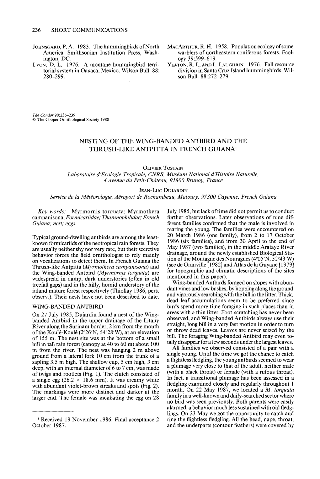 Nesting of the Wing-Banded Antbird and the Thrush-Like Antpitta in French Guiana ’