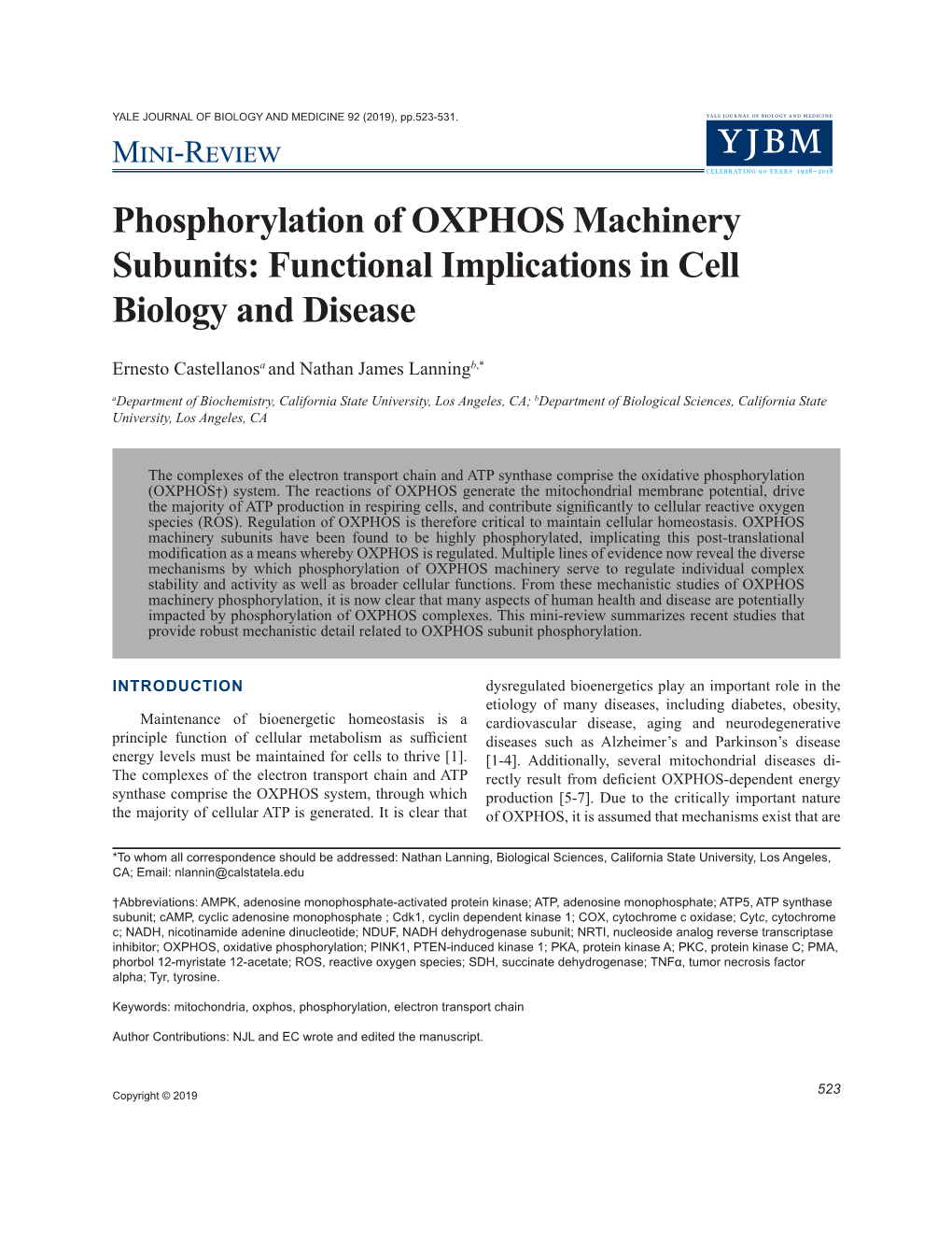 Mini-Review Phosphorylation of OXPHOS Machinery Subunits: Functional Implications in Cell Biology and Disease