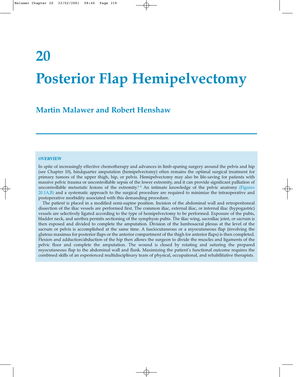 20 Posterior Flap Hemipelvectomy