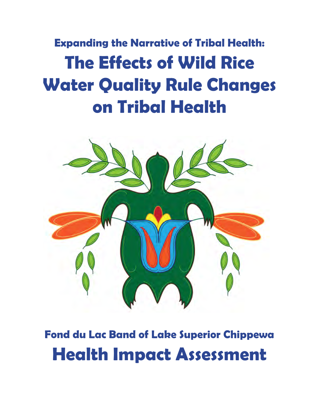 The Effects of Wild Rice Water Quality Rule Changes on Tribal Health