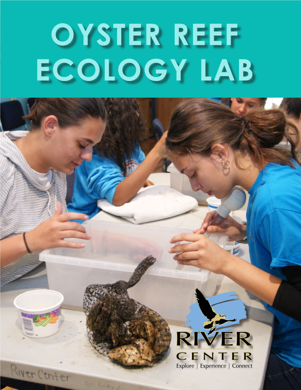 Oyster Reef Ecology Lab Contents