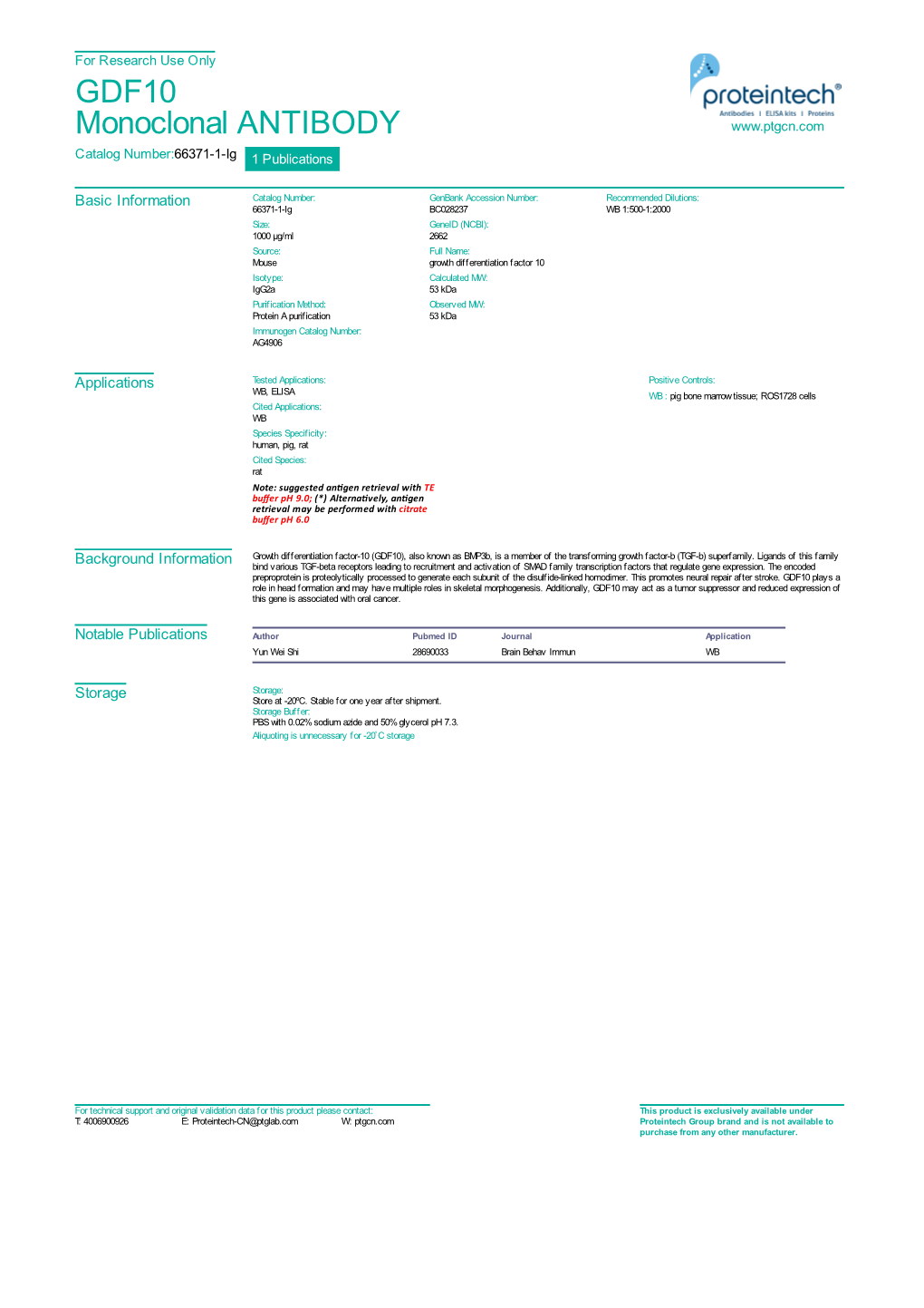 GDF10 Monoclonal ANTIBODY