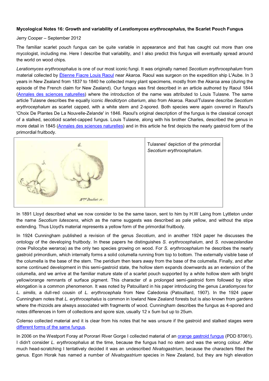 Growth and Variability of Leratiomyces Erythrocephalus, the Scarlet Pouch