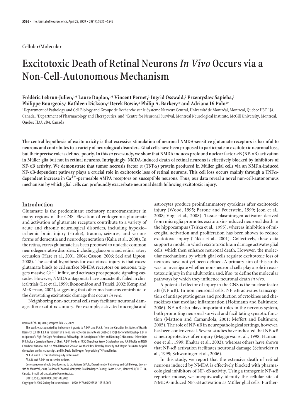 Excitotoxic Death of Retinal Neuronsin Vivooccurs Via a Non-Cell