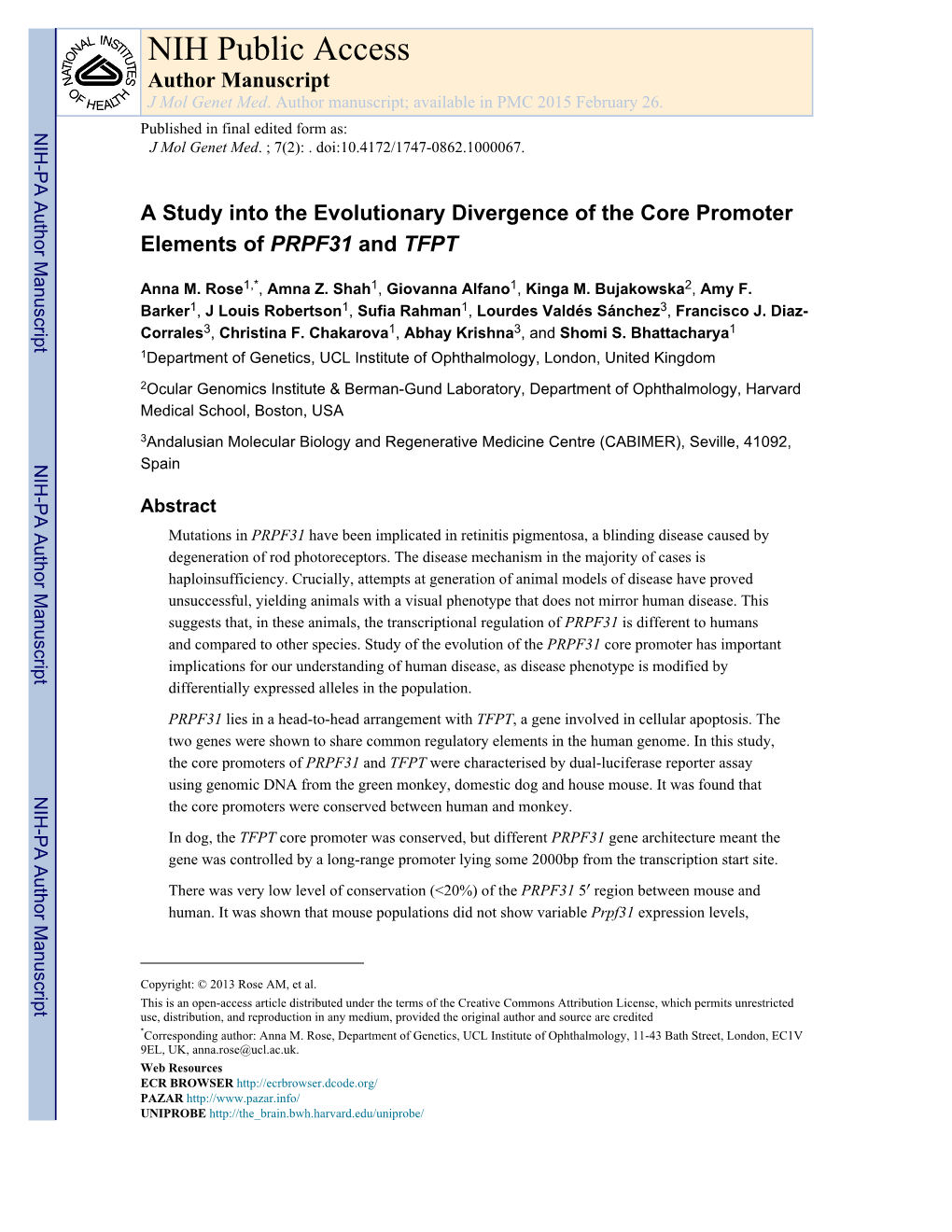 A Study Into the Evolutionary Divergence of the Core Promoter Elements of PRPF31 and TFPT