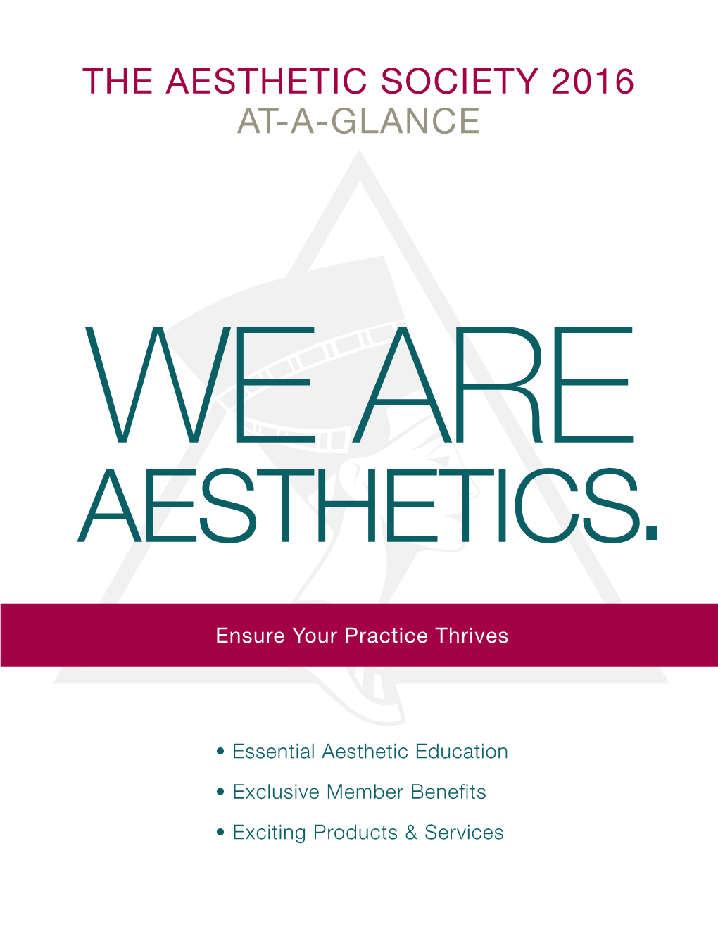 The Aesthetic Society 2016 At-A-Glance