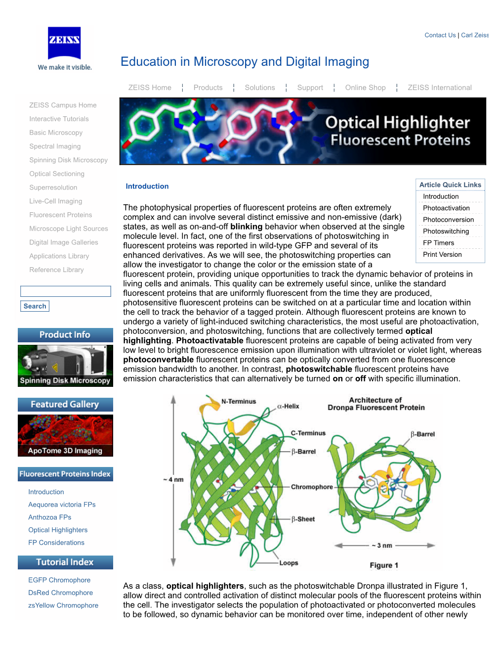 Optical Highlighter Fluorescent Proteins