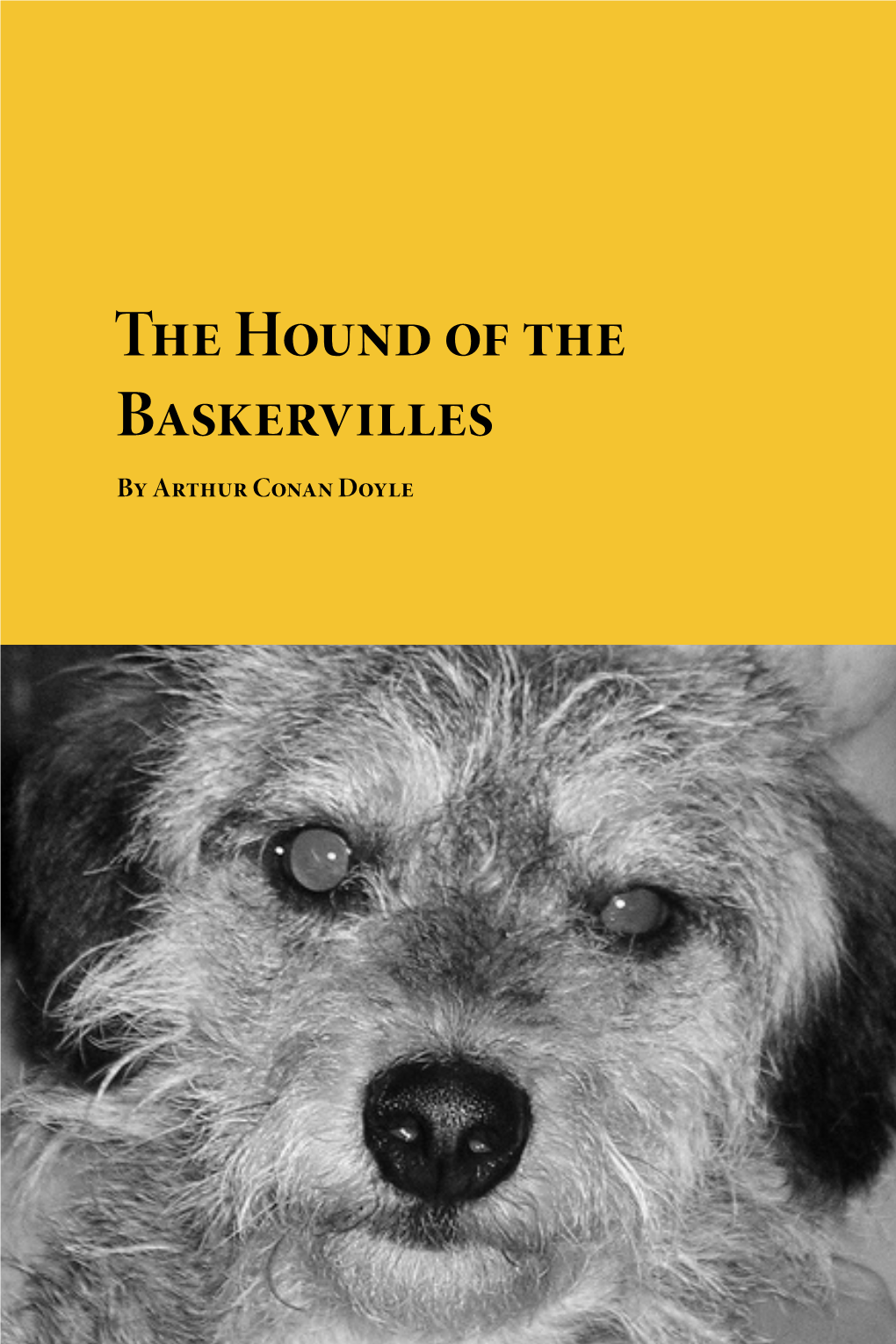 The-Hound-Of-The-Baskervilles.Pdf