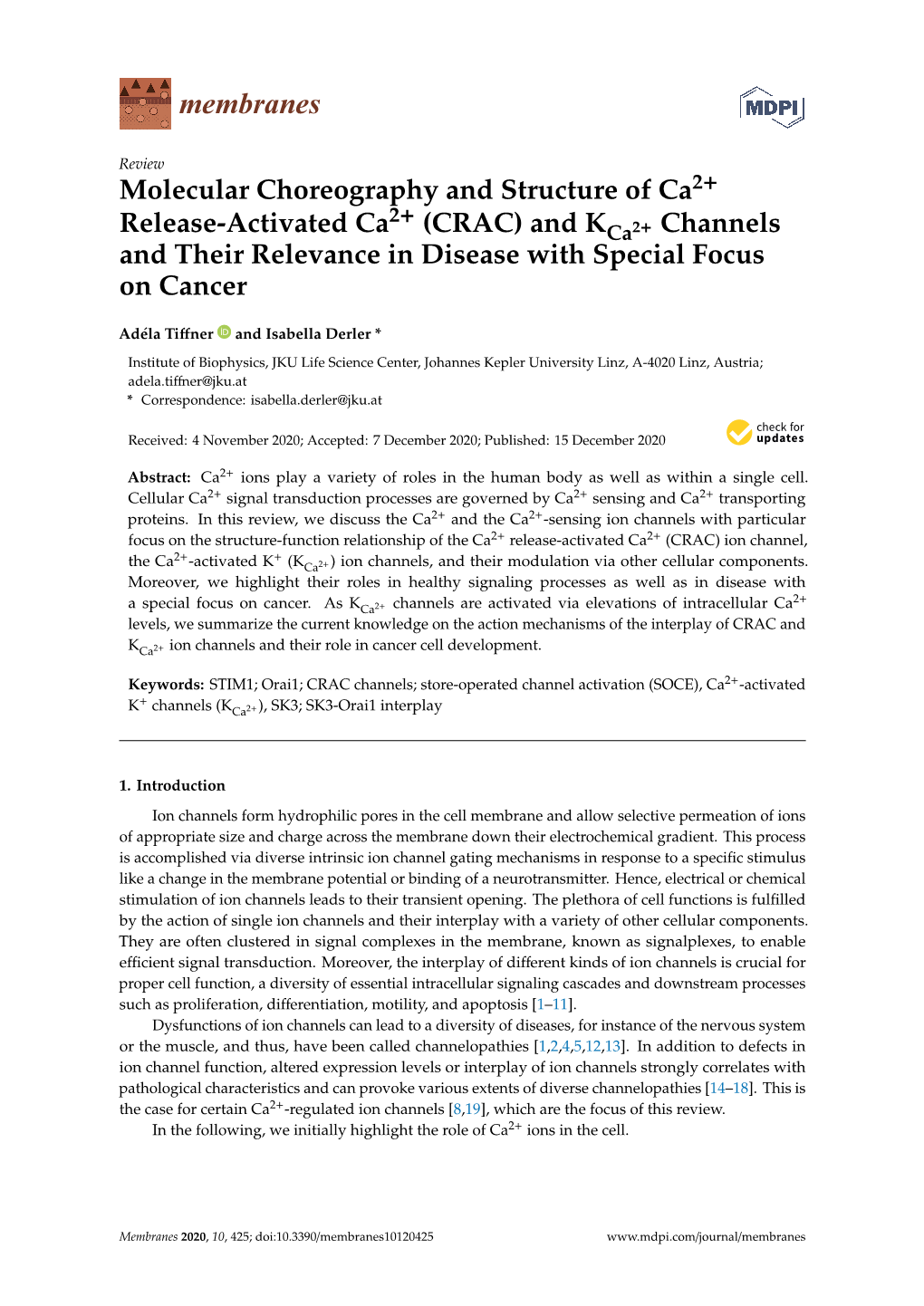 CRAC) and Kca2+ Channels and Their Relevance in Disease with Special Focus on Cancer