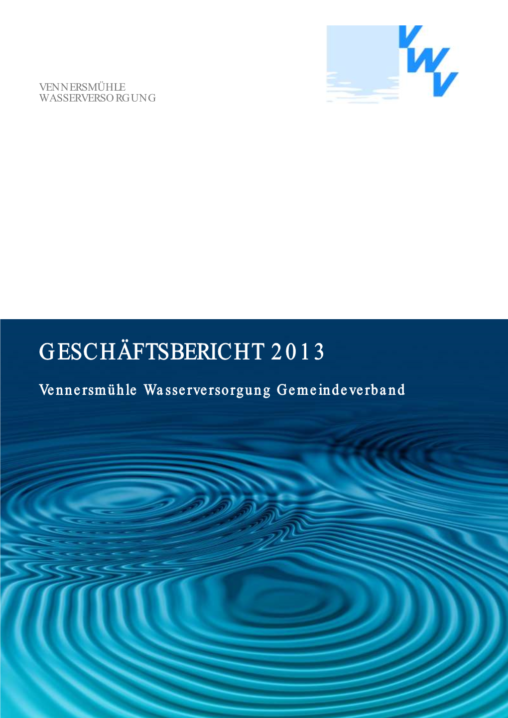 Geschäftsbericht 2013 (Pdf)