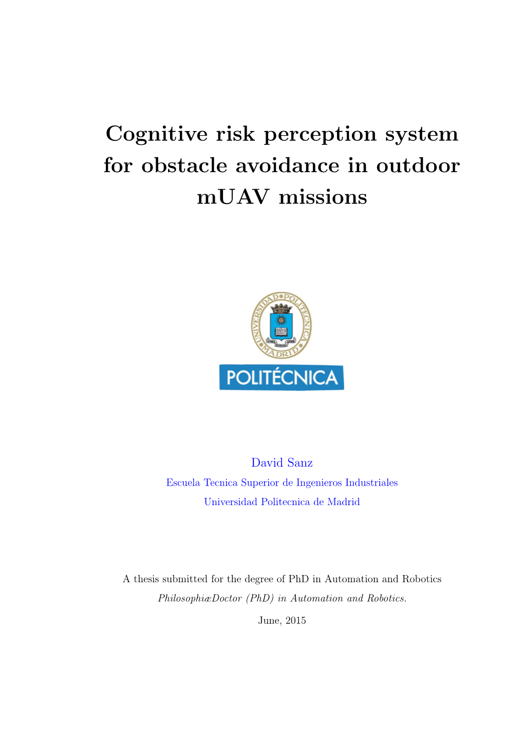 Cognitive Risk Perception System for Obstacle Avoidance in Outdoor Muav Missions