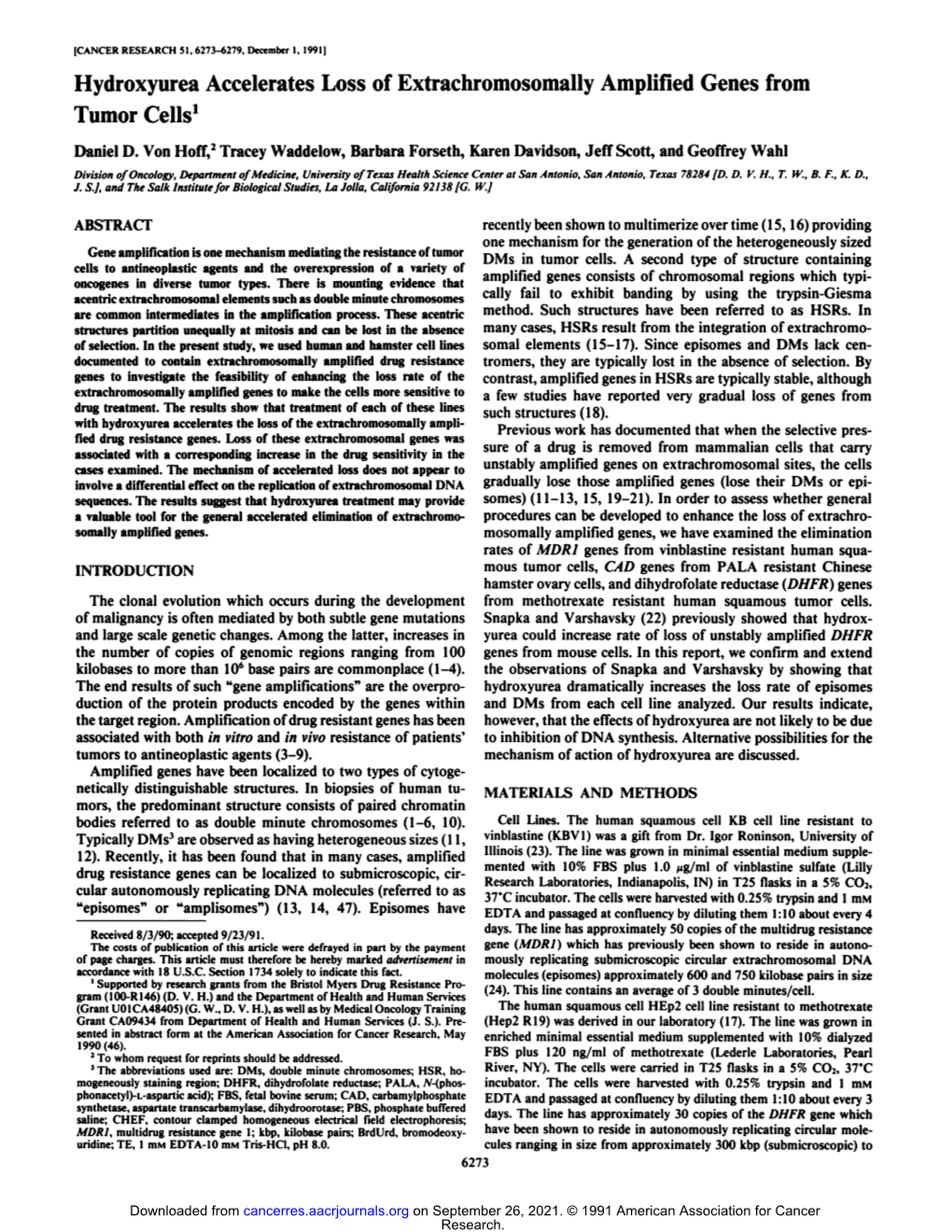 Hydroxyurea Accelerates Loss of Extrachromosomally Amplified Genes from Tumor Cells1