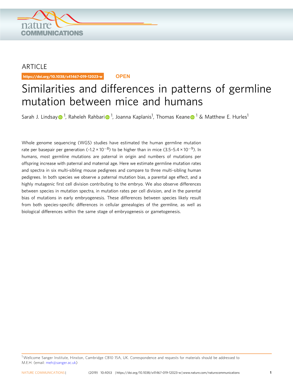 Similarities and Differences in Patterns of Germline Mutation Between Mice and Humans