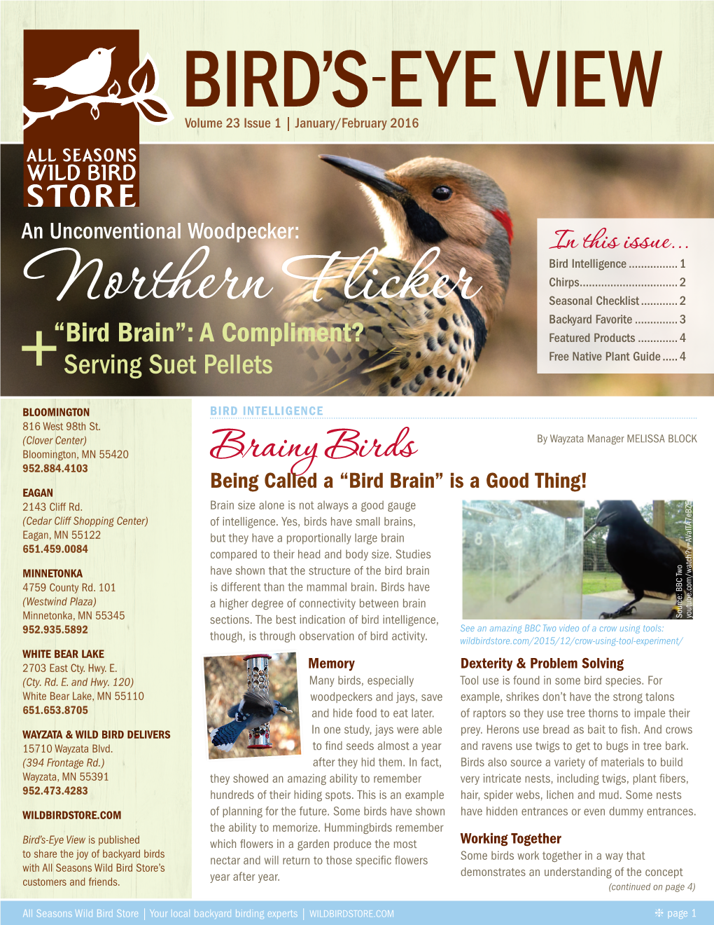 Brainy Birds Being Called a “Bird Brain” Is a Good Thing! EAGAN 2143 Cliff Rd