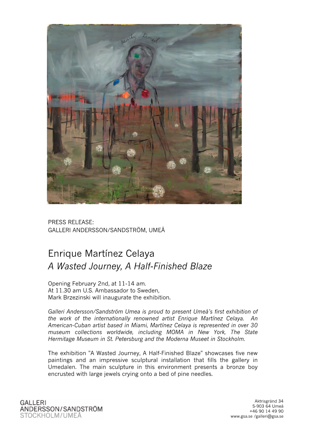 Enrique Martínez Celaya a Wasted Journey, a Half-Finished Blaze