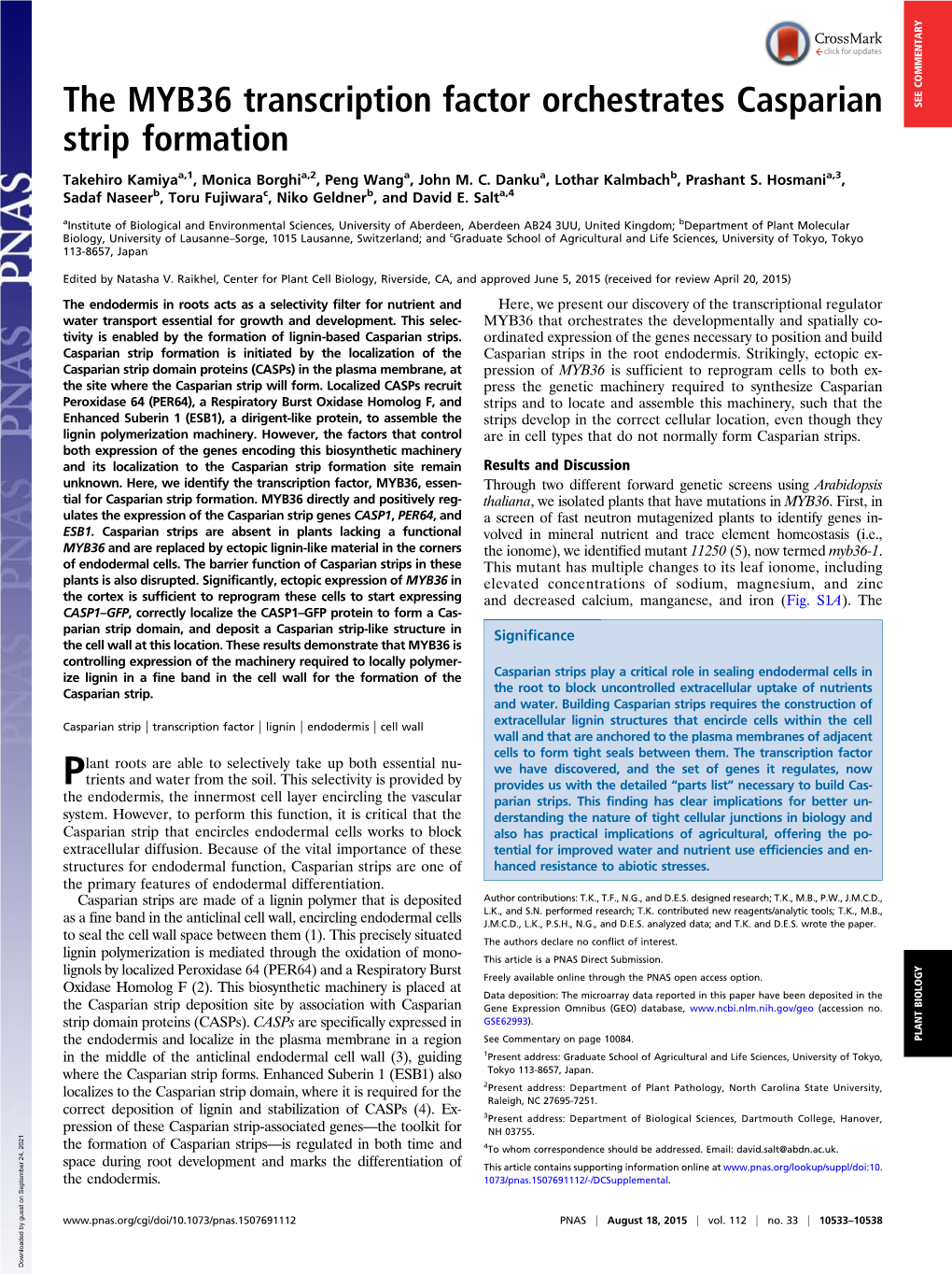 The MYB36 Transcription Factor Orchestrates Casparian Strip Formation