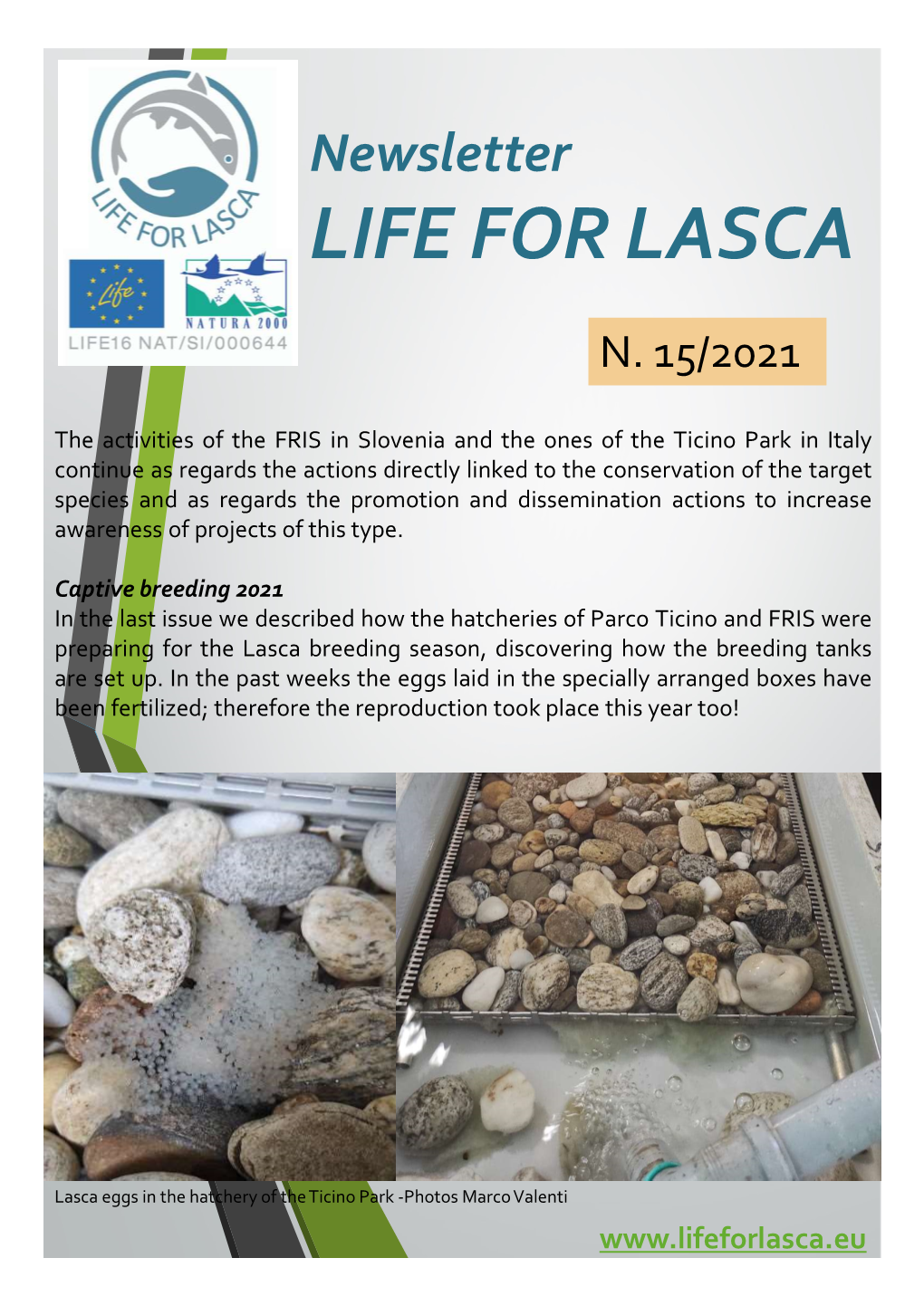 Life for Lasca