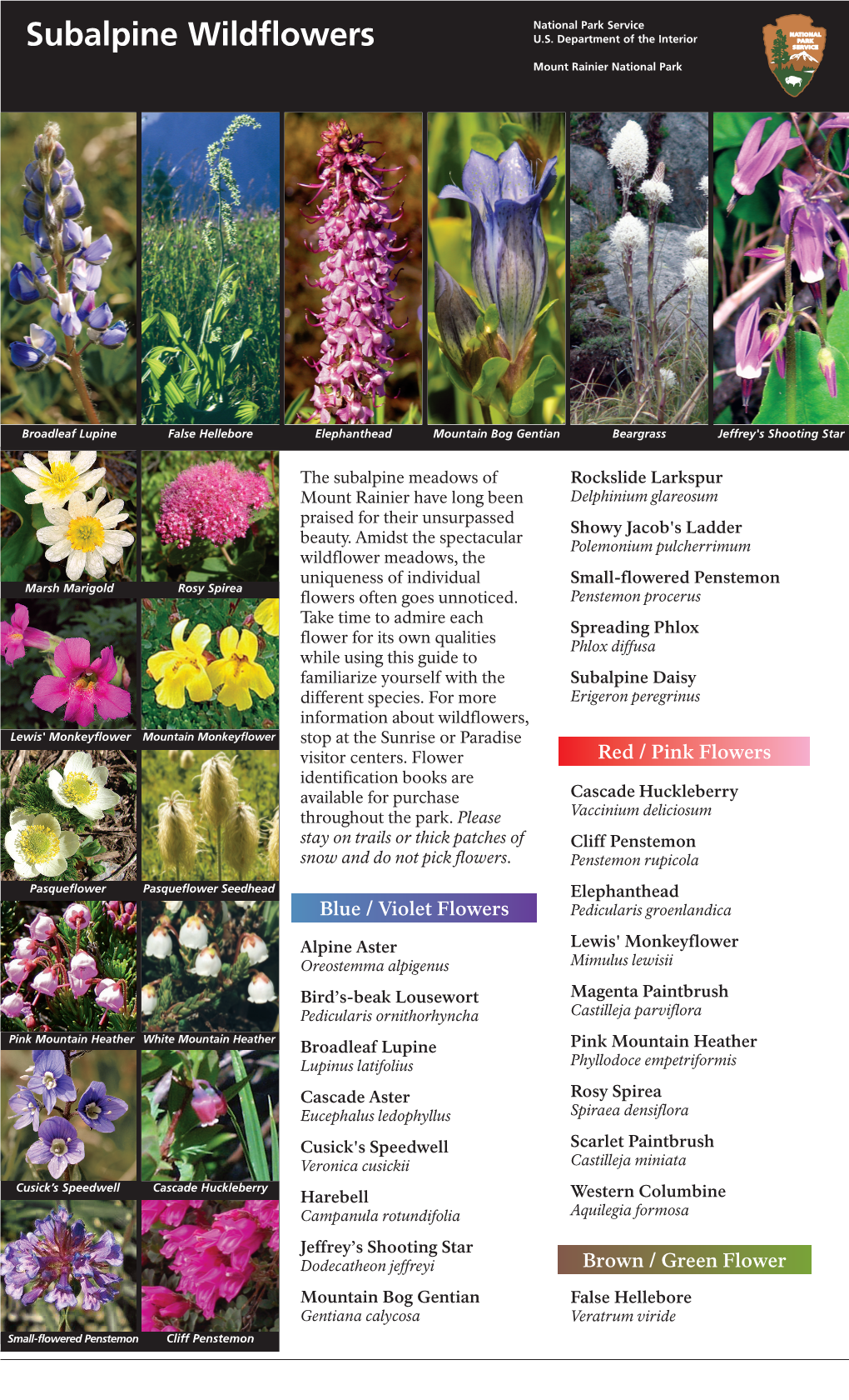 Subalpine Wildflowers U.S