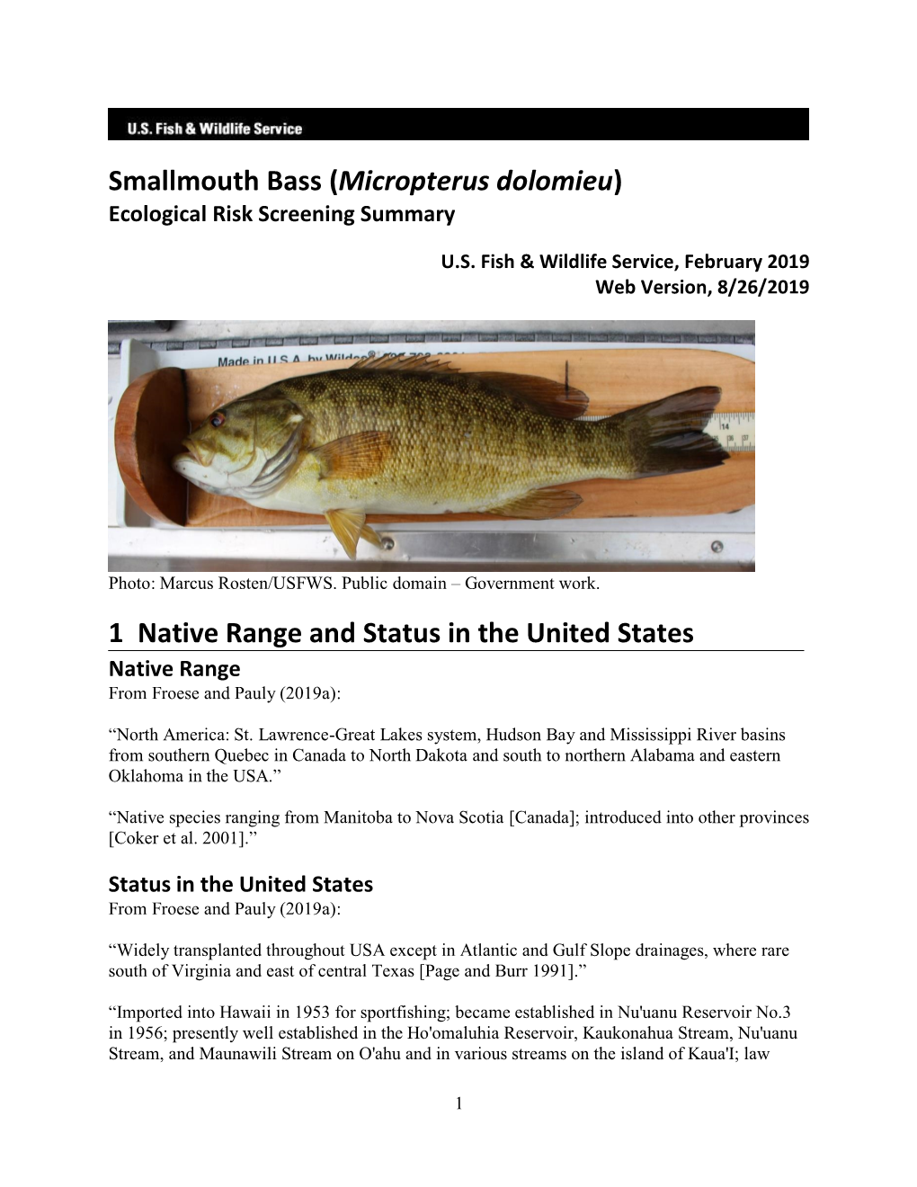 Smallmouth Bass (Micropterus Dolomieu) ERSS