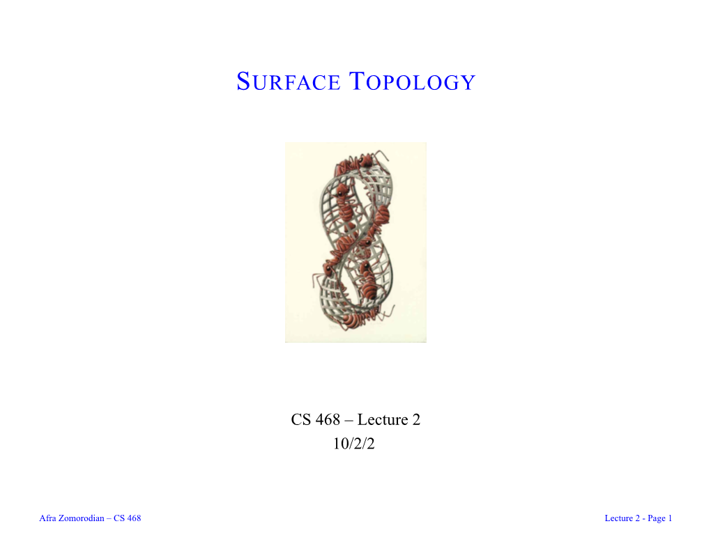 Surface Topology