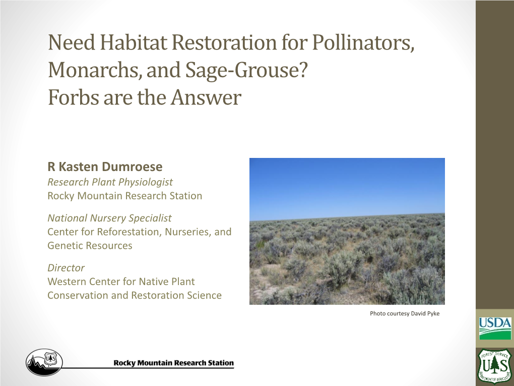 Sage-Grouse? Forbs Are the Answer