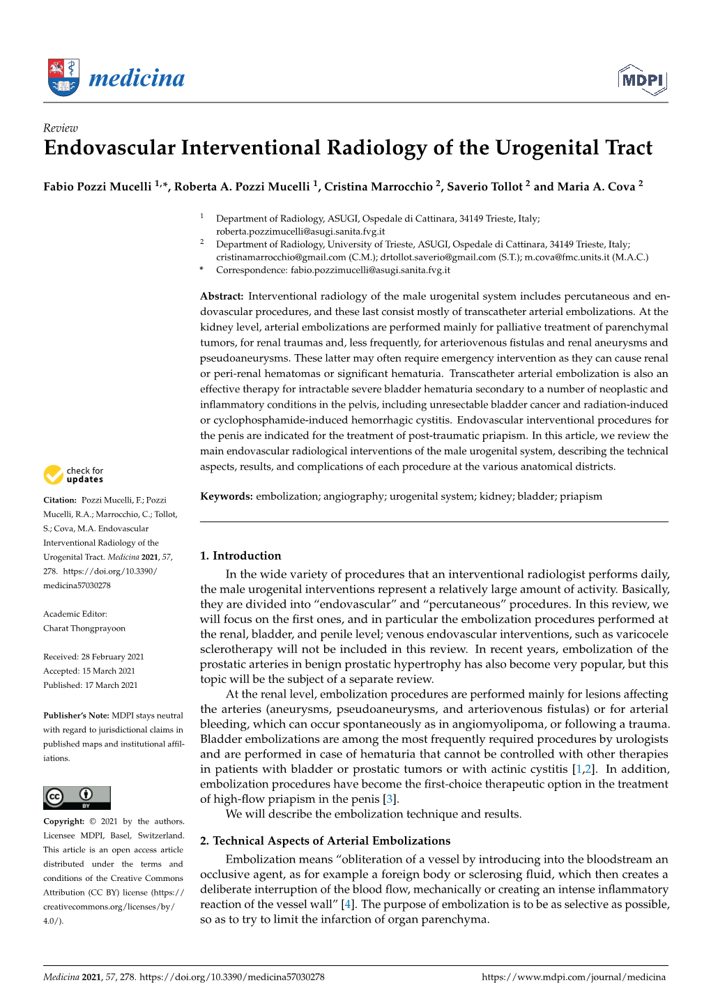 Endovascular Interventional Radiology of the Urogenital Tract