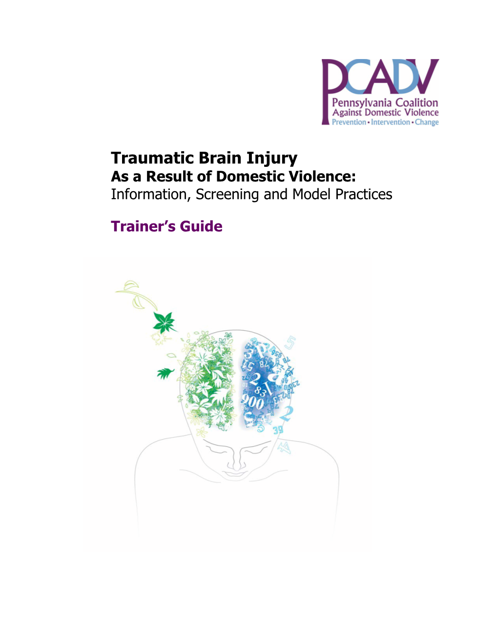 Traumatic Brain Injury As a Result of Domestic Violence: Information, Screening and Model Practices