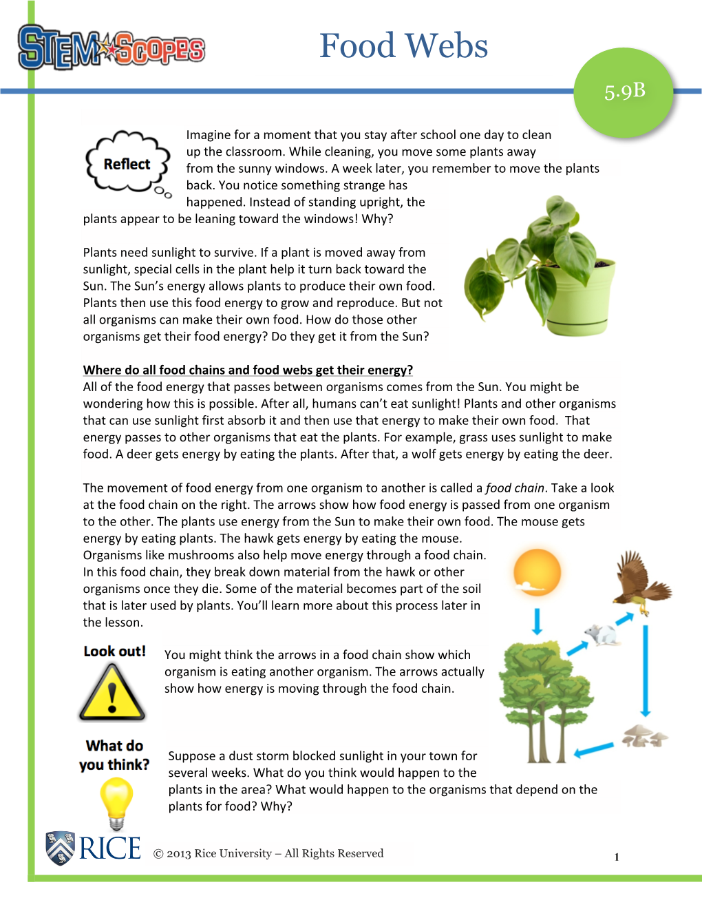 Food Webs 5.9B