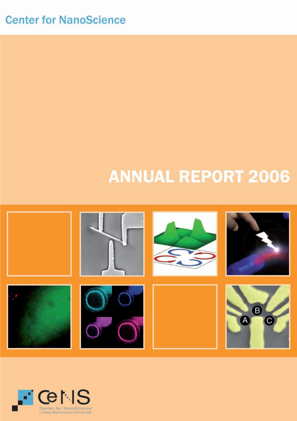 Cens Annual Report 2006