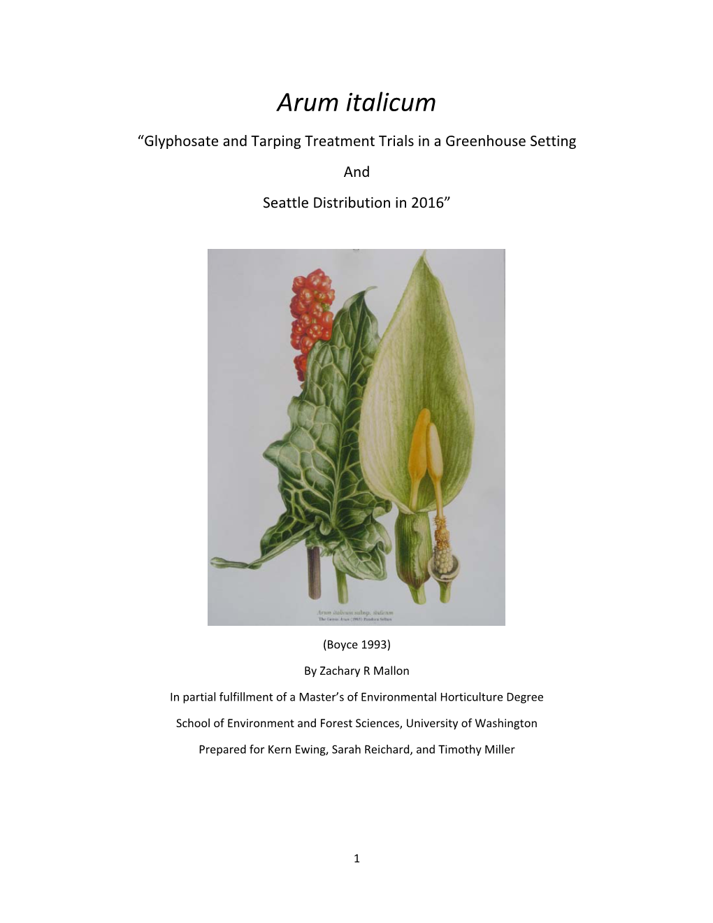 Arum Italicum “Glyphosate and Tarping Treatment Trials in a Greenhouse Setting and Seattle Distribution in 2016”