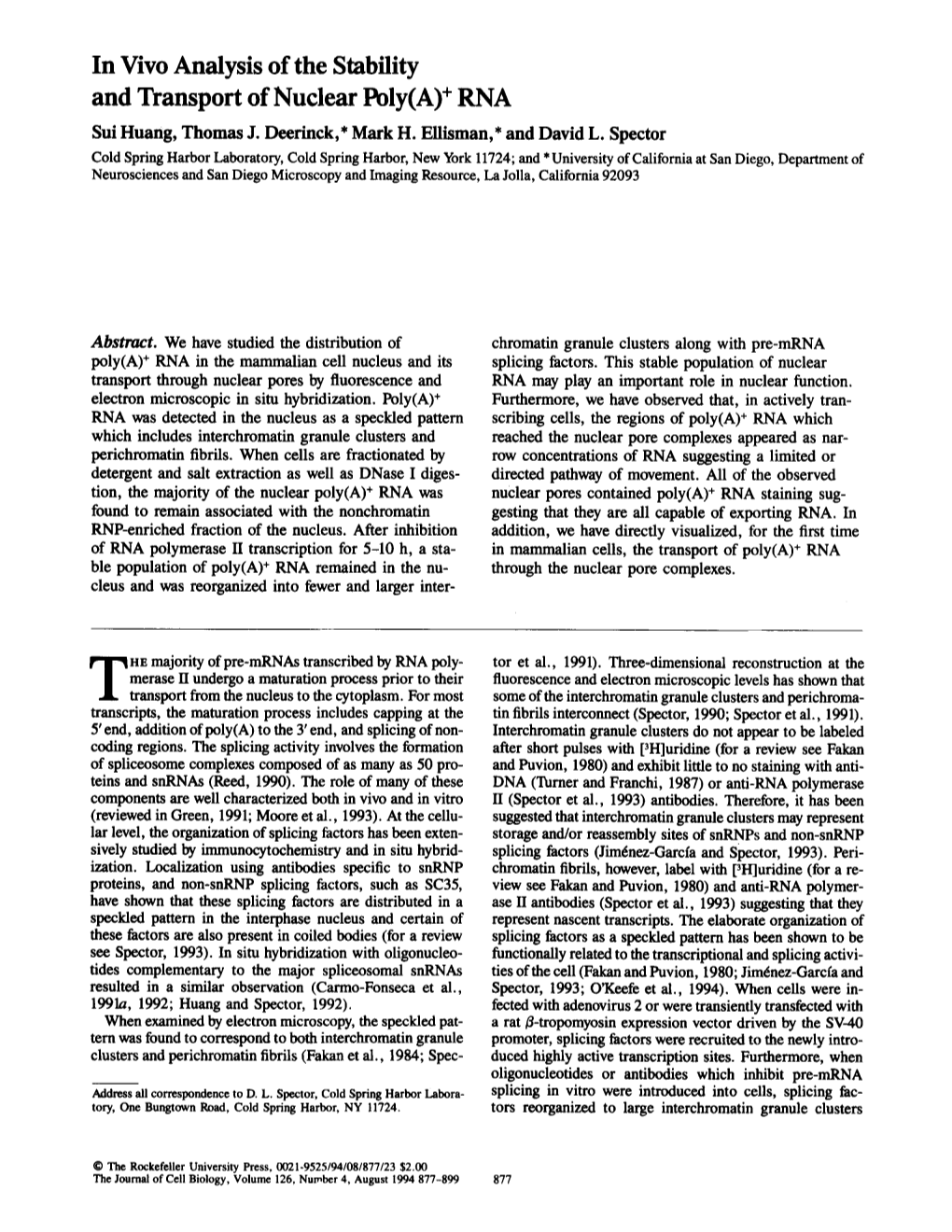 In Vivo Analysis of the Stability and Transport of Nuclear Poly(A) + RNA Sui Huang, Thomas J