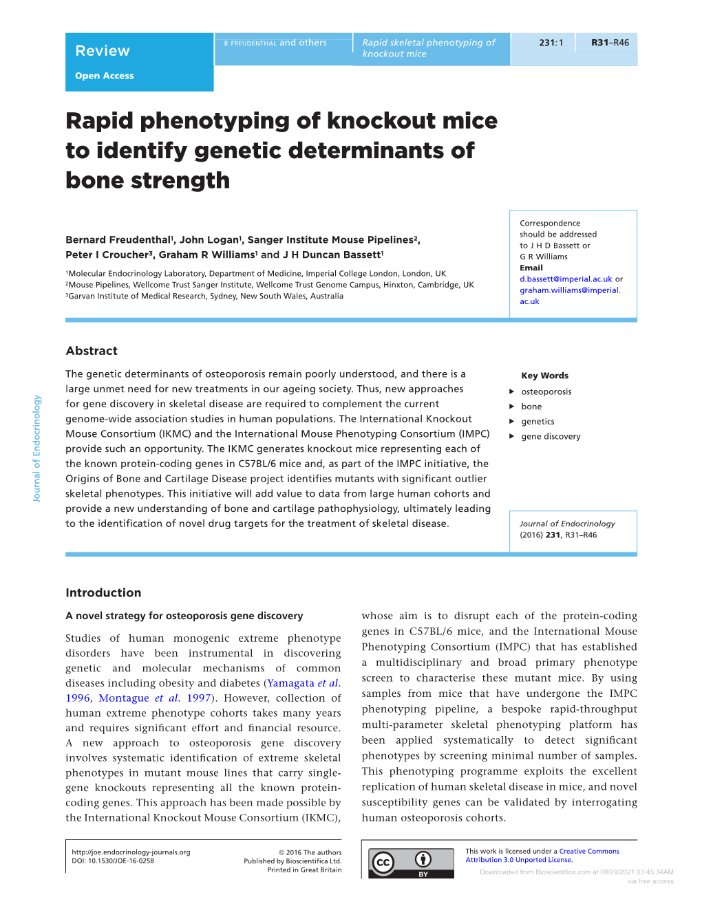 Rapid Phenotyping of Knockout Mice to Identify Genetic Determinants of Bone Strength