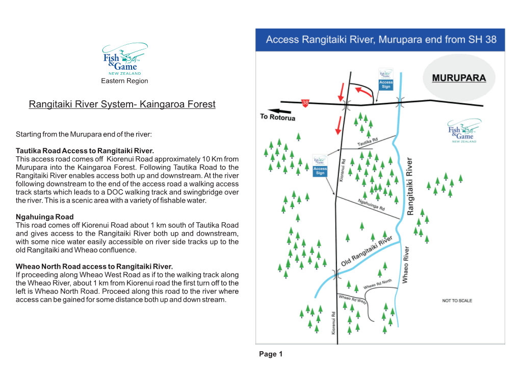 Rangitaiki River System- Kaingaroa Forest