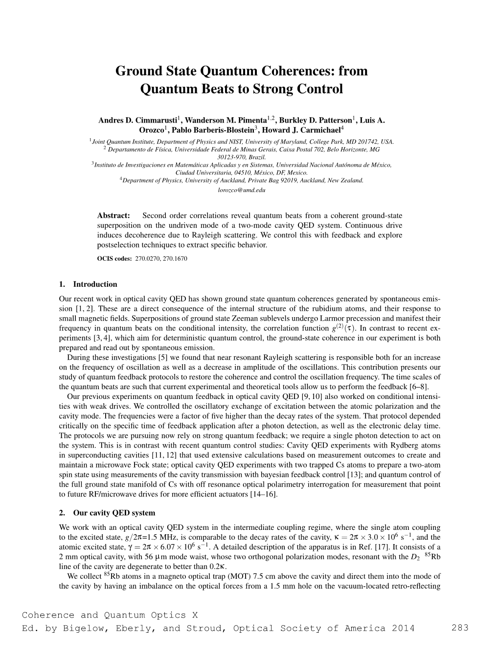 Ground State Quantum Coherences: from Quantum Beats to Strong Control