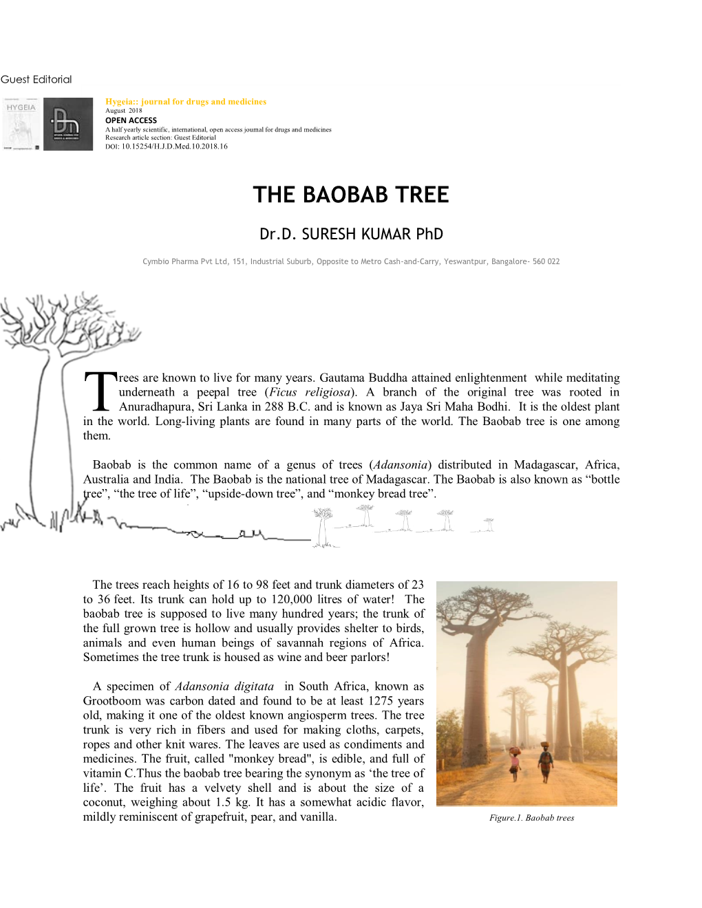 The Baobab Tree