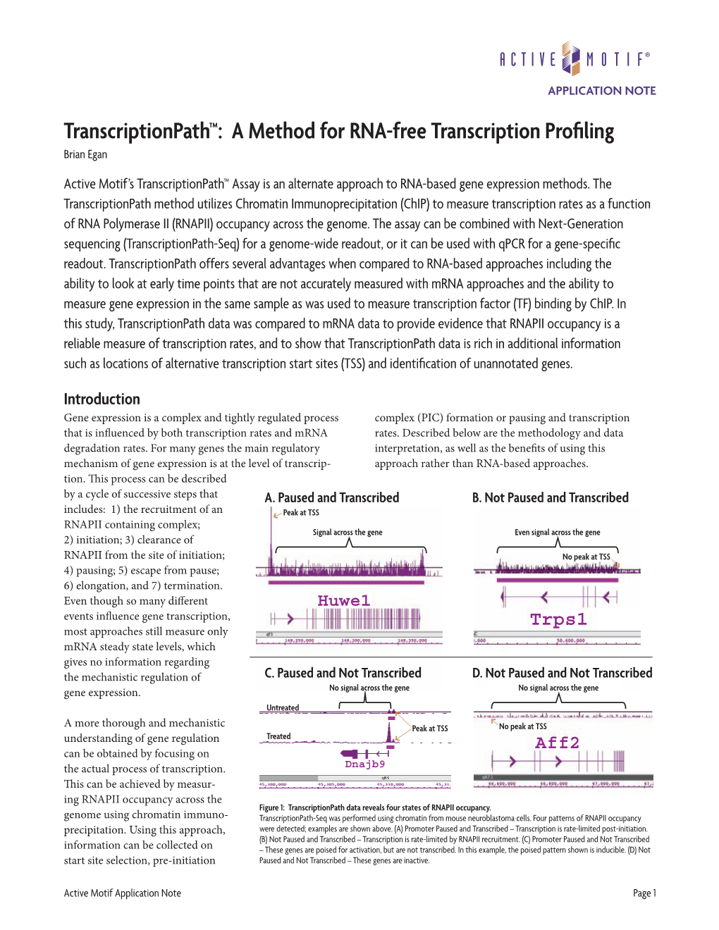 Transcriptionpath Applications Note