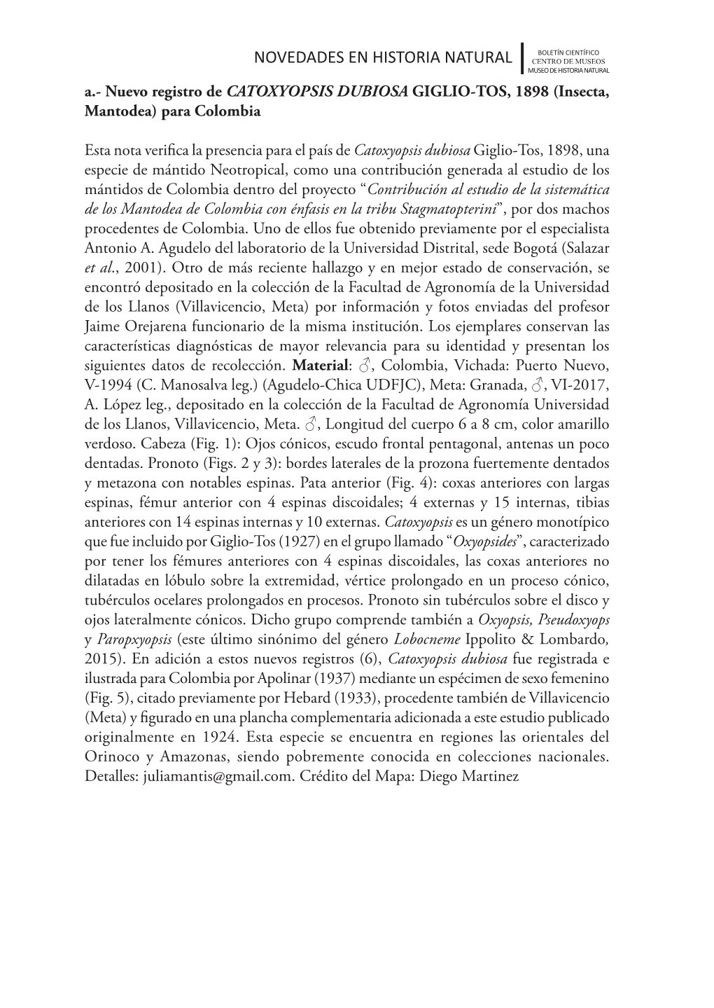 NOVEDADES EN HISTORIA NATURAL CENTRO DE MUSEOS MUSEO DE HISTORIA NATURAL A.- Nuevo Registro De CATOXYOPSIS DUBIOSA GIGLIO-TOS, 1898 (Insecta, Mantodea) Para Colombia
